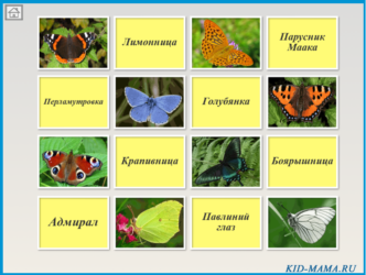 Бабочки презентация 2 класс